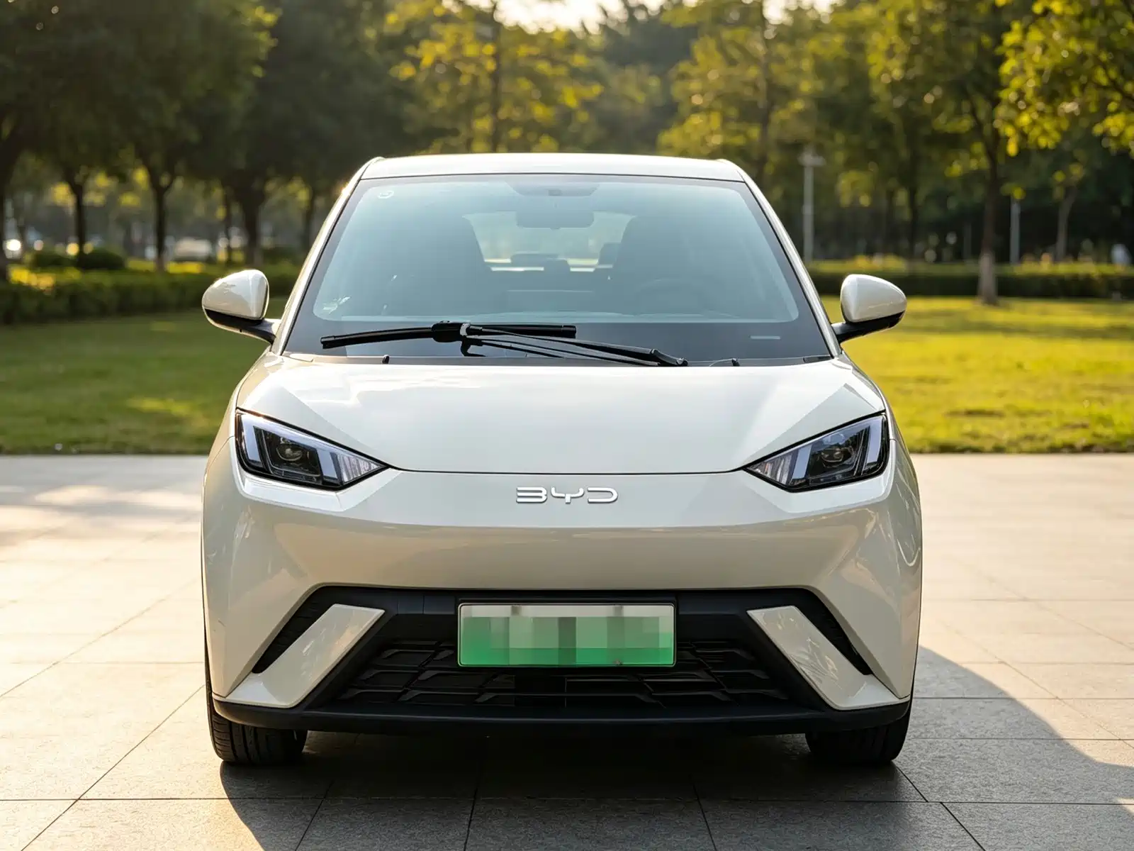 Фото 2 - BYD Seagull