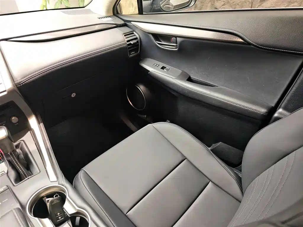 Lexus NX 2018 Model 200 FWD Fengxing Edition China V фото 17