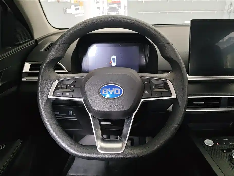 BYD e2 2021 Comfort Model фото 15