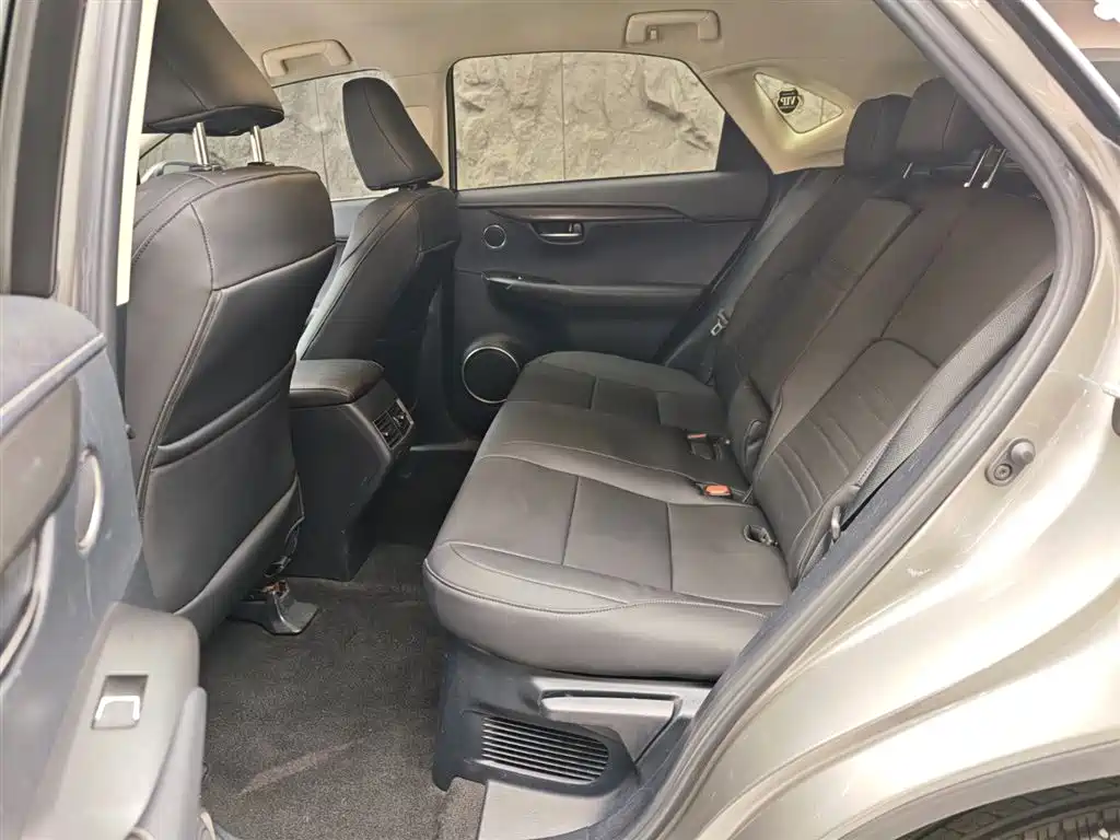 Lexus NX 2018 Model 200 FWD Fengxing Edition China V фото 9