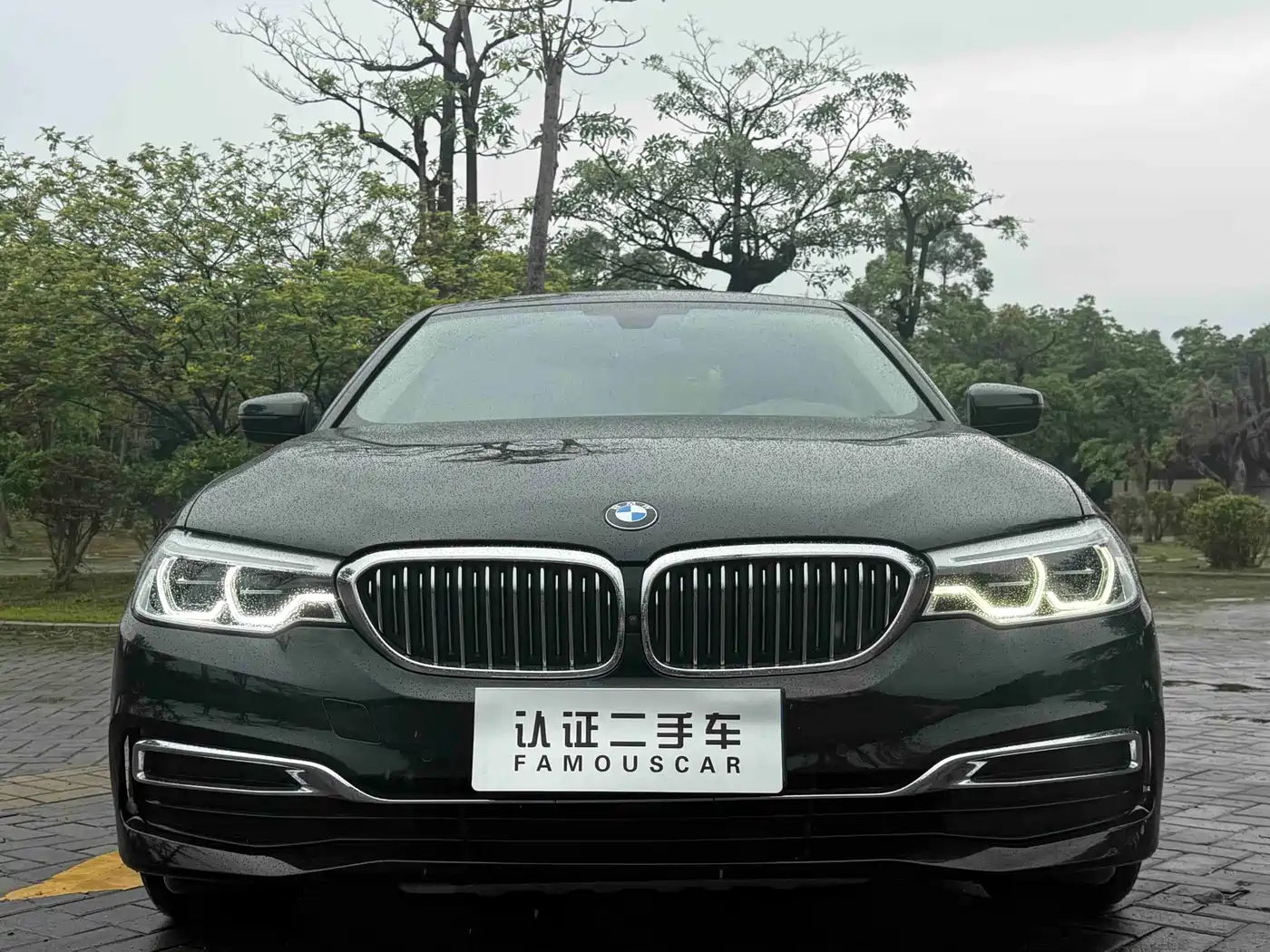 BMW 5 Series 2020 530Li Premium Luxury Package фото 2