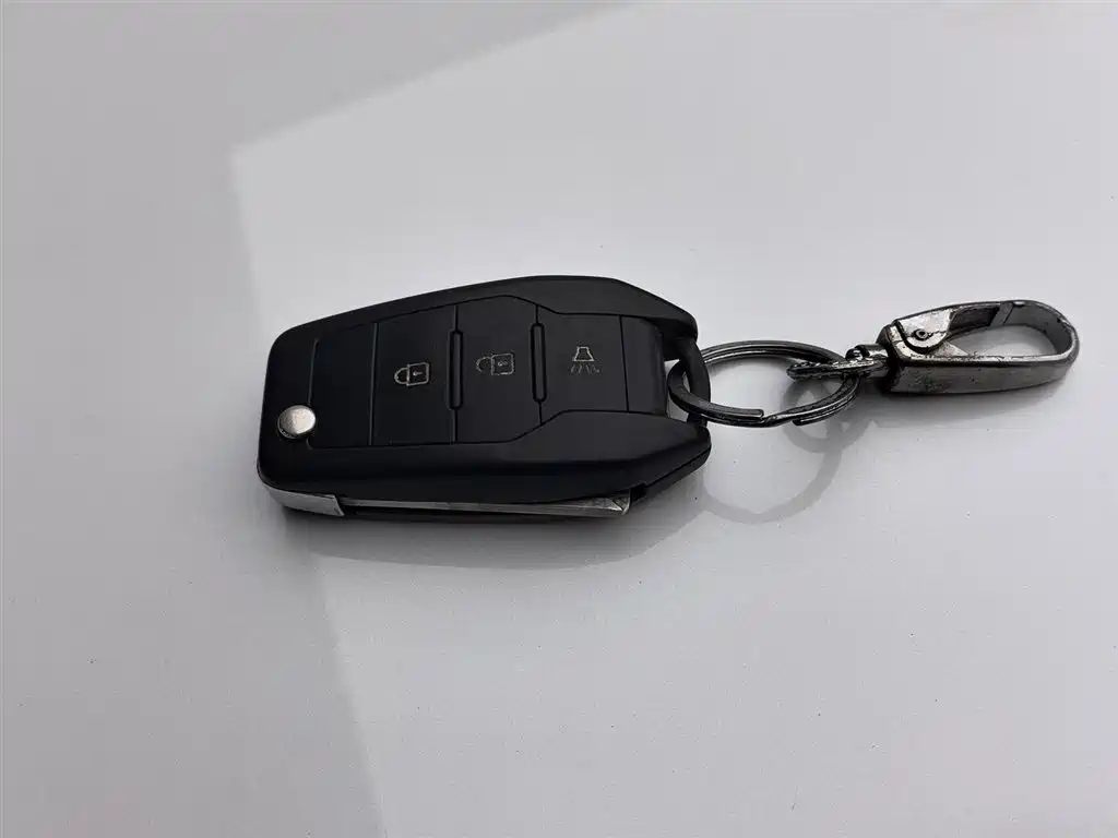 BAW RUISHENG ACE M7 NEW ENERGY