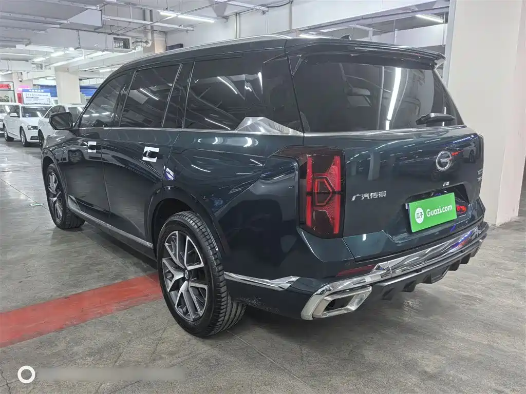 GAC Trumpchi Trumpchi GS8 2022 Dual Engine Series 2.0TM 2WD Premium Edition (6-Seater) фото 6