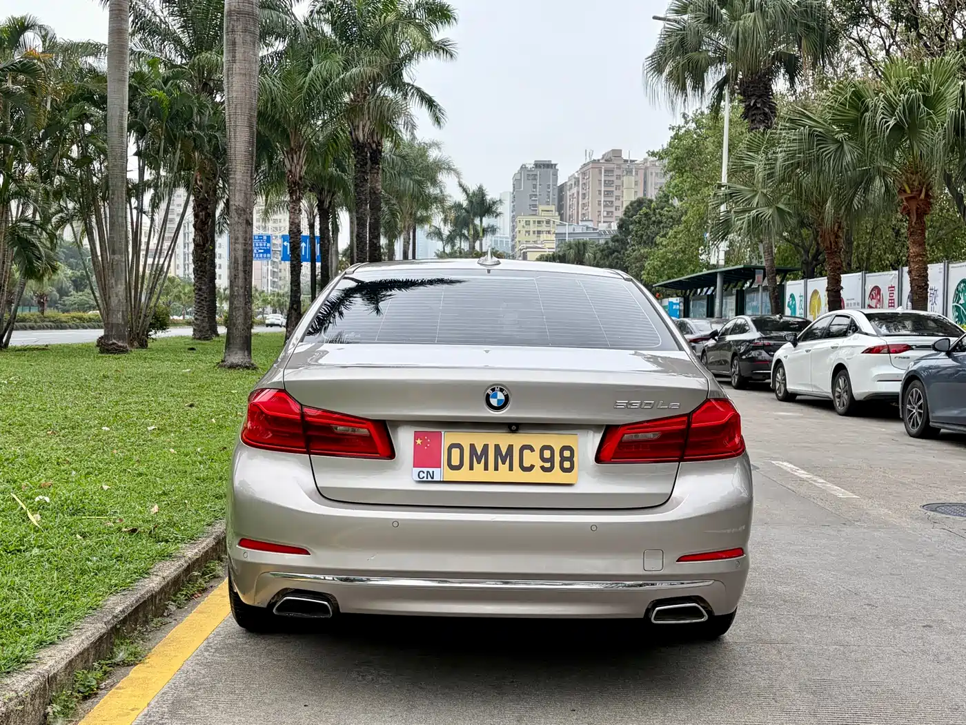 BMW 5 Series New Energy 2019 530Le Luxury Package фото 5