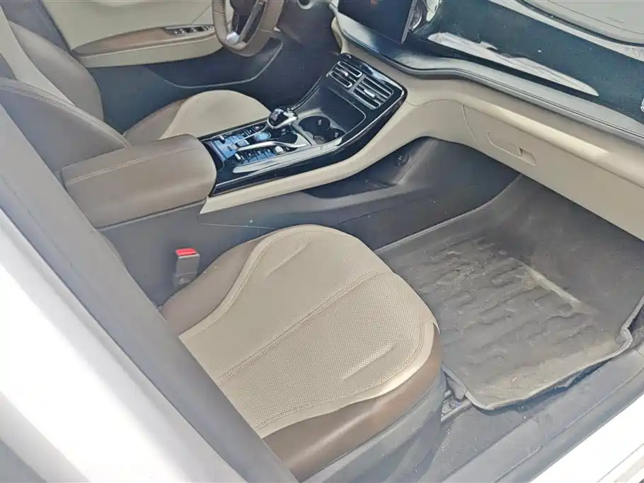BYD Qin PLUS 2024 Glory Edition DM-i 55KM Leading фото 8