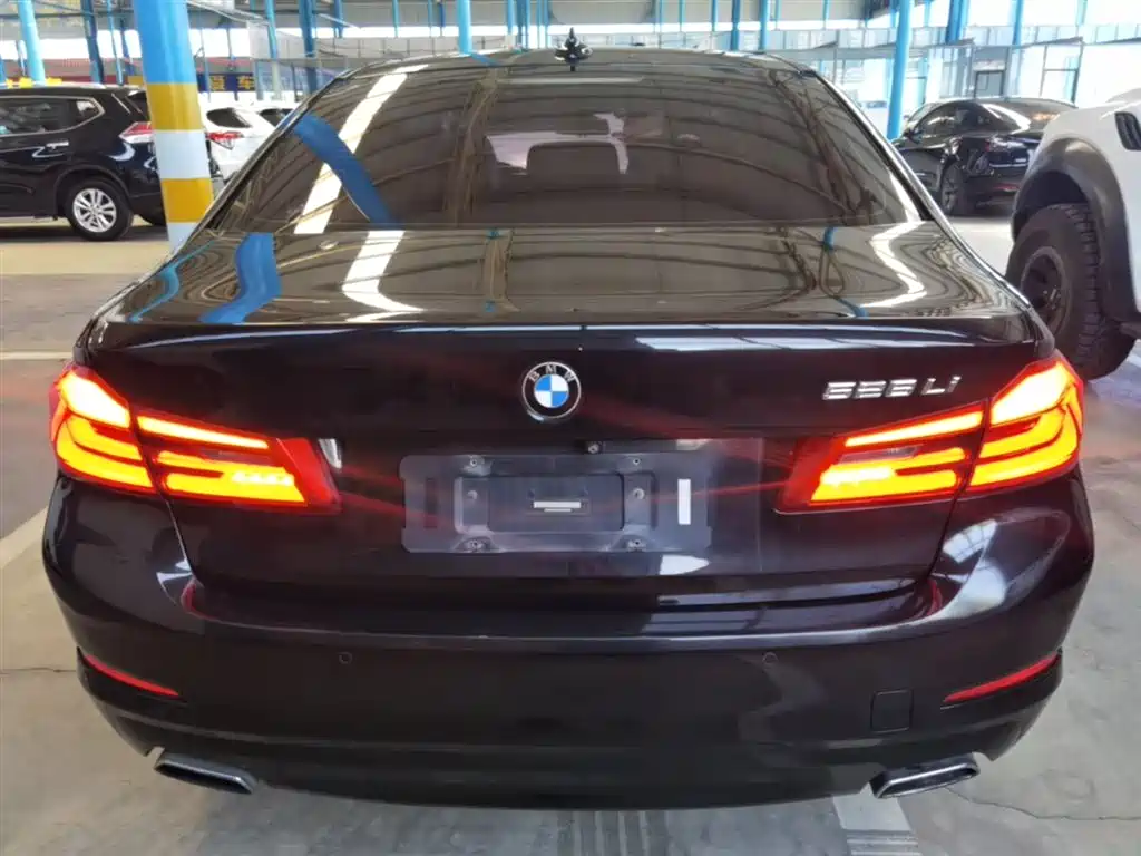 BMW 5 Series 2018 528Li Launch Special Edition фото 6