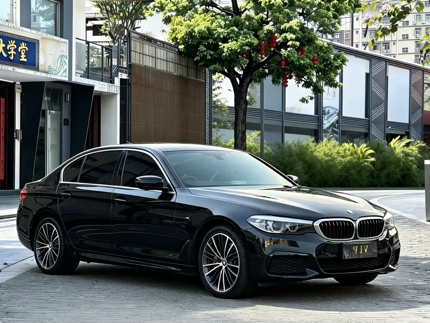BMW 5 Series 2019 530Li Leading M Sport Package фото 3