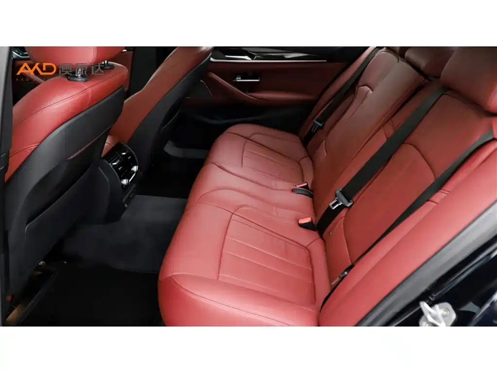 BMW 5 Series 2020 530Li Exclusive M Sport Package фото 7