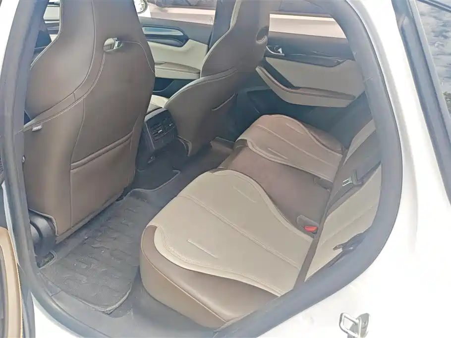 BYD Qin PLUS 2024 Glory Edition DM-i 55KM Leading фото 11