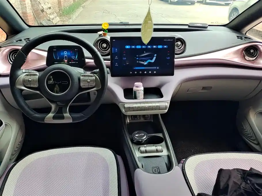 BYD Dolphin 2023 420km Fashion Edition фото 12