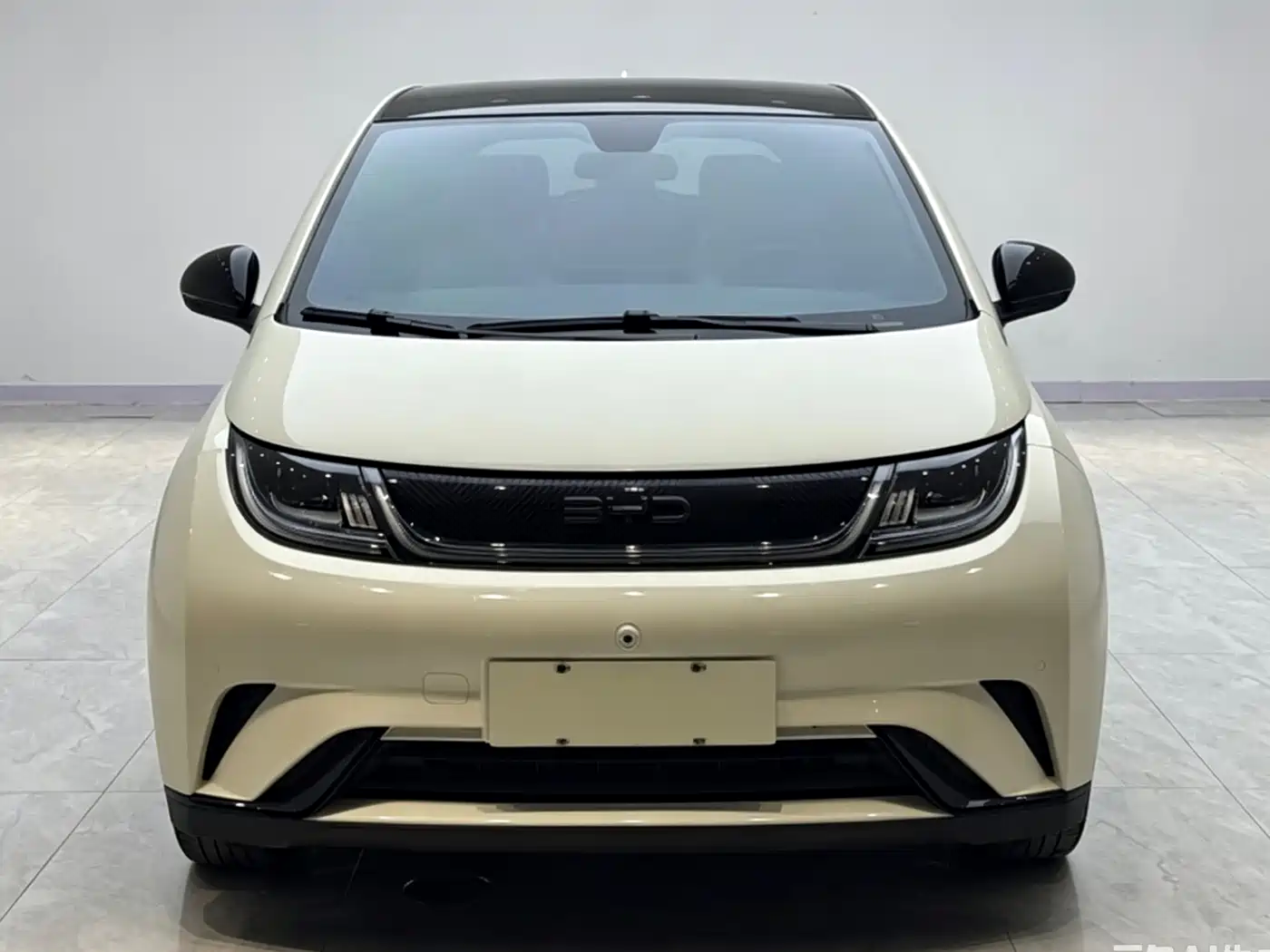 BYD Dolphin 2024 Glory Edition 420km Fashion Edition