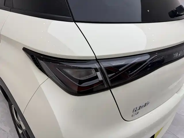 BYD Dolphin 2024 Glory Edition 420km Fashion Edition фото 17