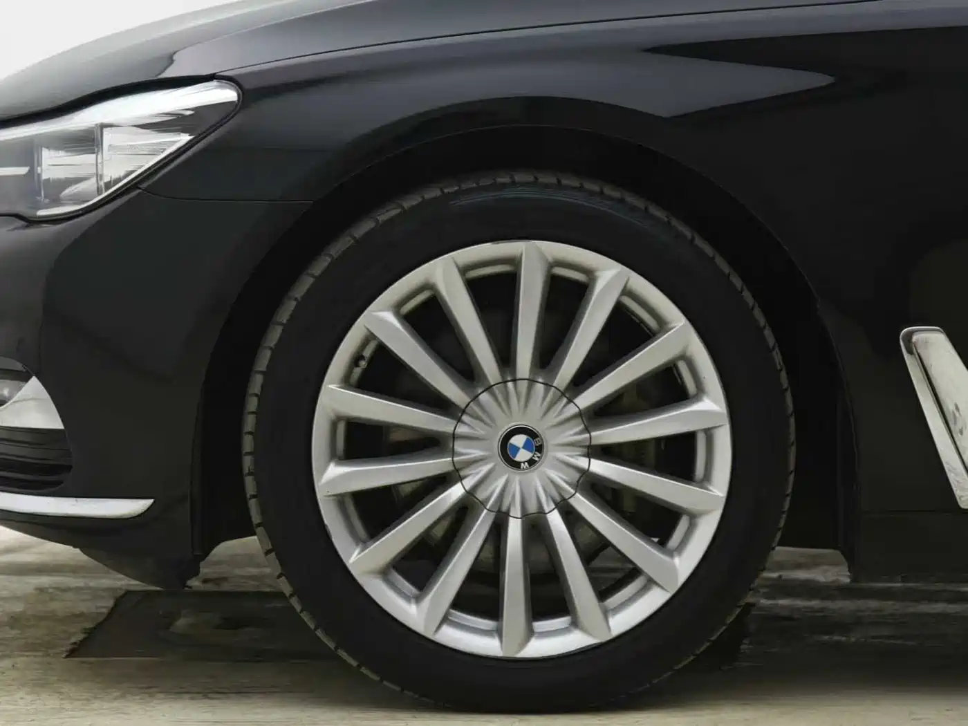 BMW 7 Series 2018 730Li Leading Type Excellence Package фото 5