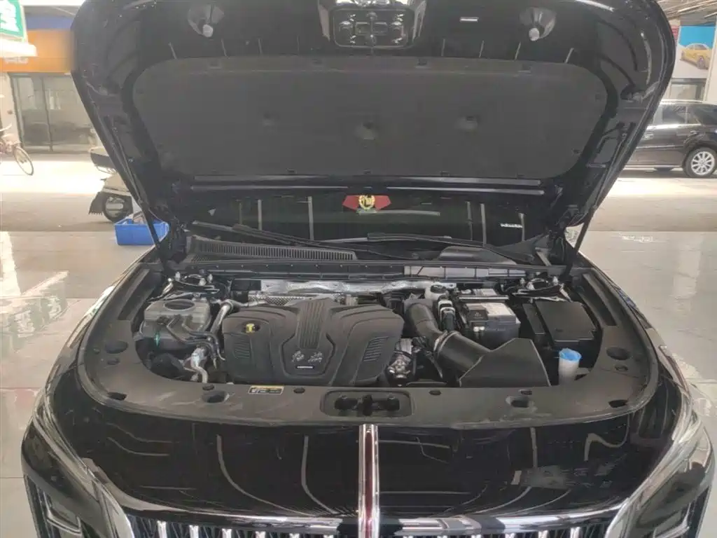 Hongqi H5 2024 2.0T Automatic Smart Connect Flag Smooth Edition фото 20