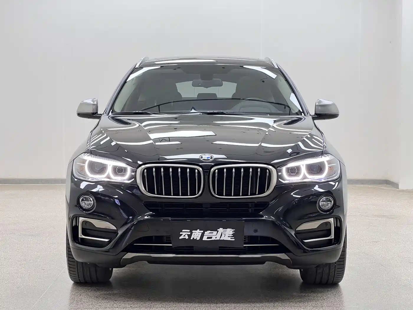 BMW X6 2018 xDrive35i Leading Model фото 2
