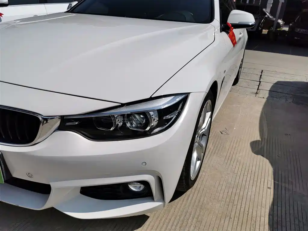 BMW 4 Series 2017 425i Gran Coupe Leading M Sport Package фото 18
