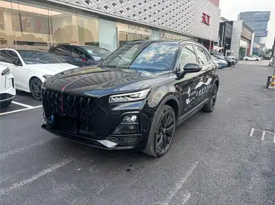 Hongqi HS5