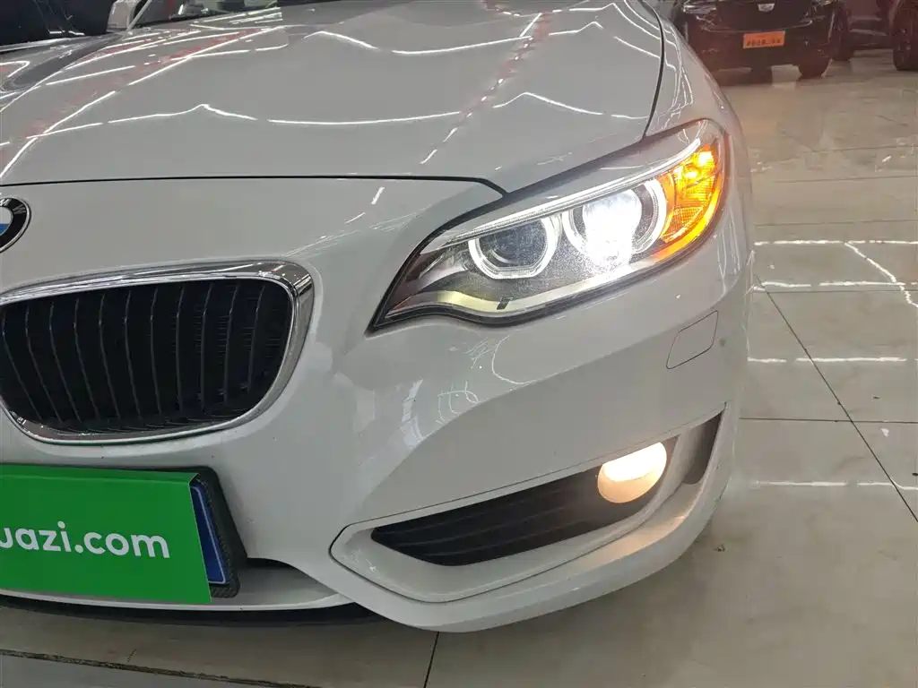 BMW 2 Series (Import) 2015 218i Convertible Coupe фото 24