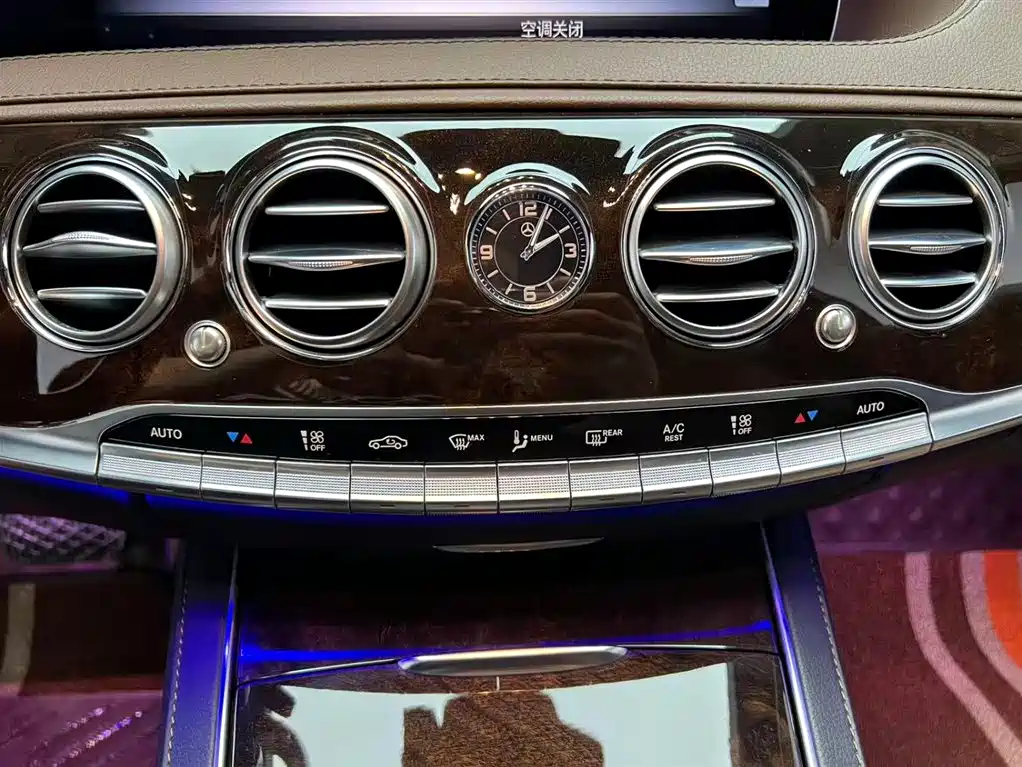 Mercedes-Benz S-Class 2020 S 350 L Premium Edition Collector's Version фото 10