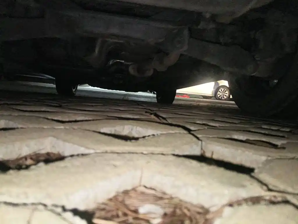 Haval F7 2021 2021 1.5T FWD i-Trend