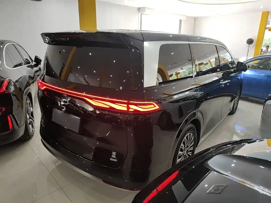 BYD Xia 2025 DM-i 1.5T 100km Surpass Edition фото 7