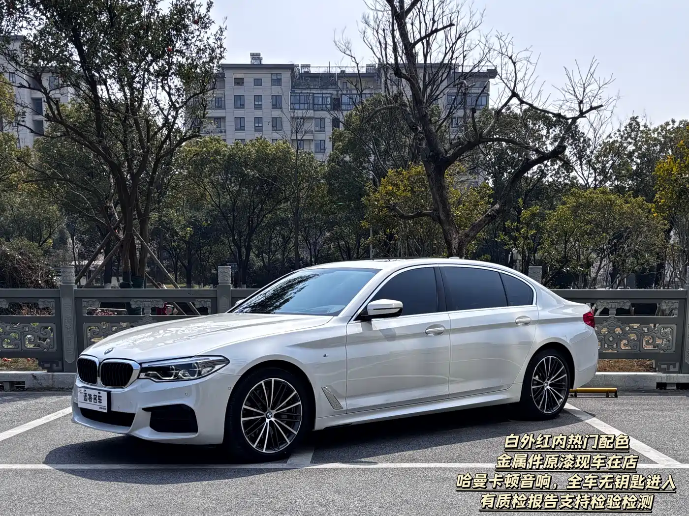 BMW 5 Series 2020 530Li Exclusive M Sport Package