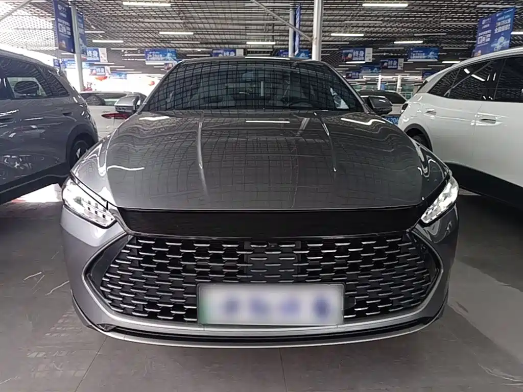 BYD Qin PLUS 2021 DM-i 120KM Flagship фото 3