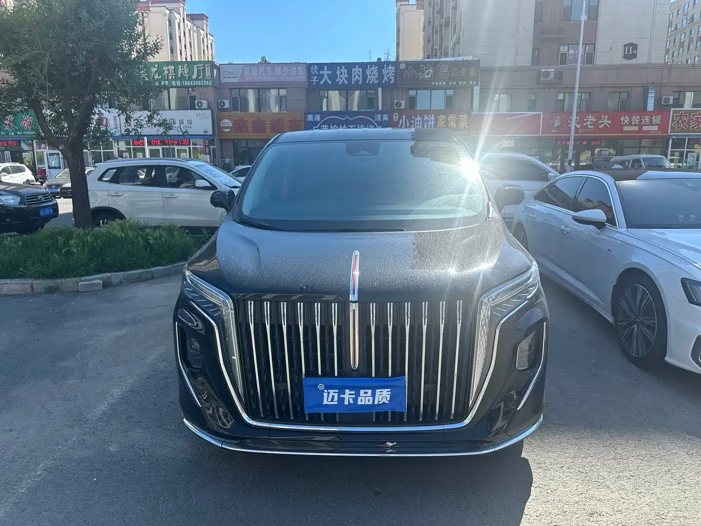Hongqi HQ9 2023 2.0T Smart Connect Flag Enjoy Edition фото 2