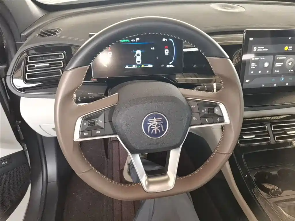 BYD Qin PLUS 2024 Glory Edition DM-i 55KM Leading фото 11