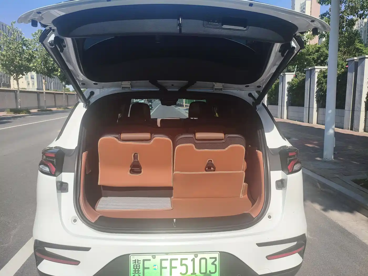 BYD Tang New Energy 2023 Model DM-i Champion Edition 112KM Honor фото 8