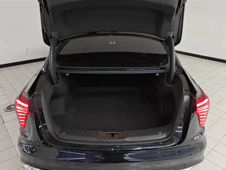 Hongqi H5 2024 1.5T DCT Smart Connect Flag Rhythm Edition фото 4