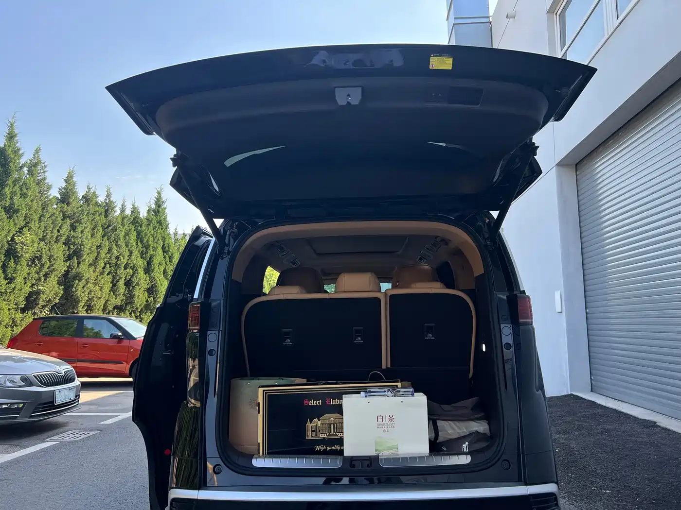 Denza D9 2025 DM-i Smart Driving Edition 1020 AWD Flagship фото 10