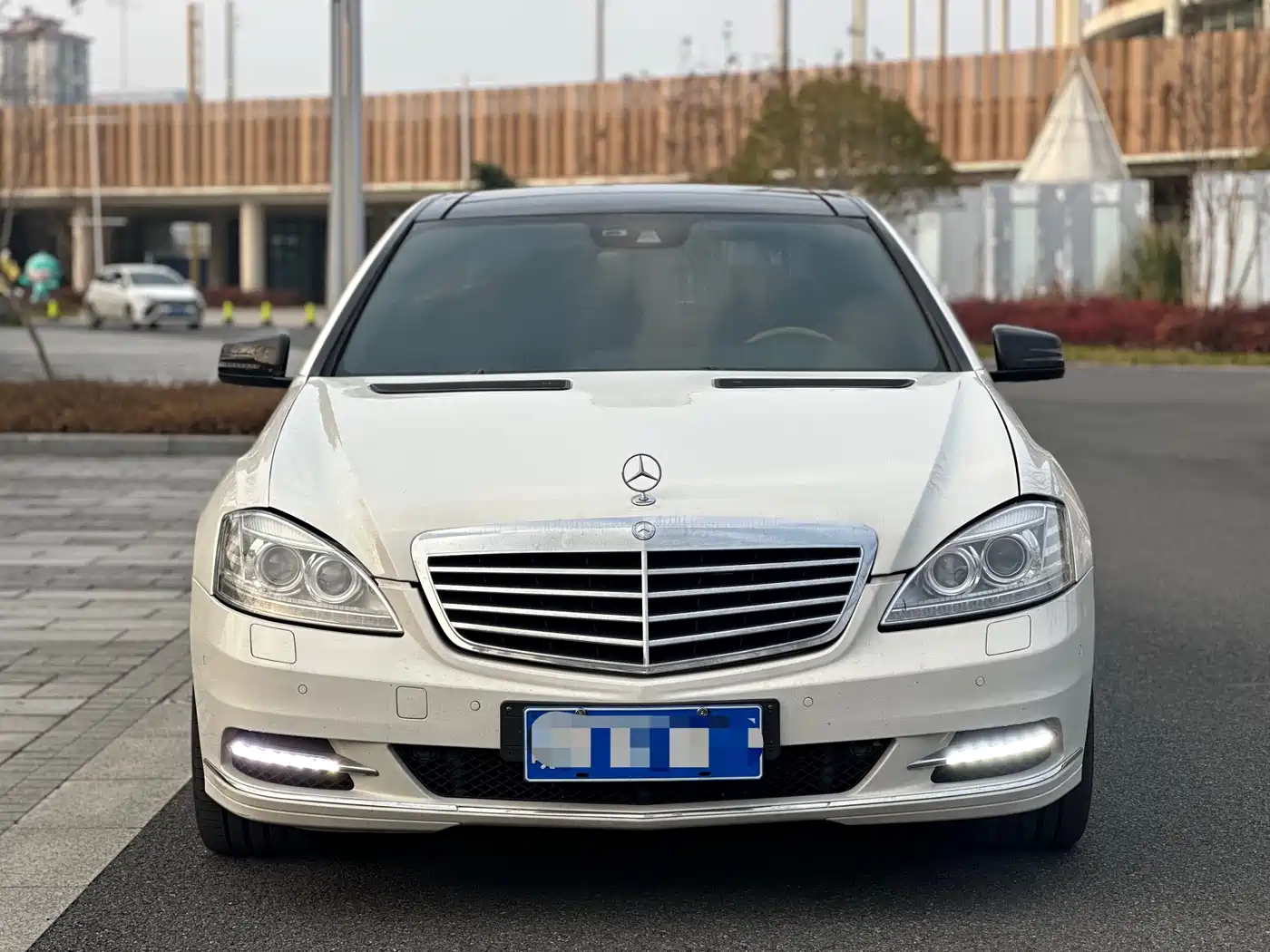 Mercedes-Benz S-Class 2010 S 300 L Luxury фото 2