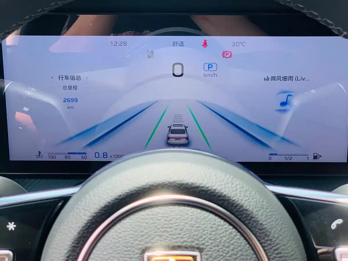 Hongqi H5 2026 2025 2.0T Automatic Mystic Shadow