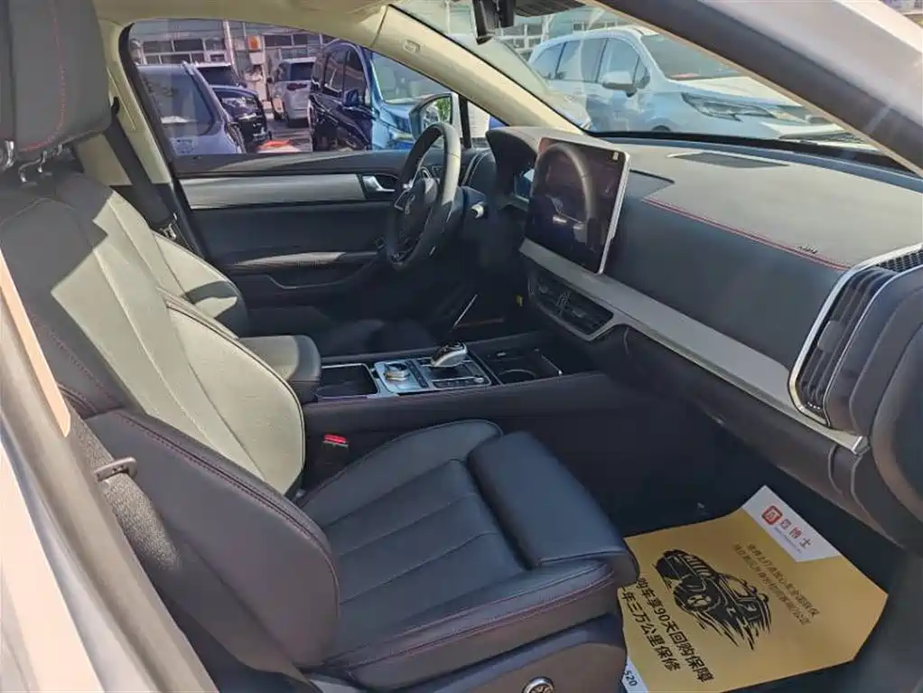 BYD Tang New Energy 2019 EV600D 4WD Smart Connect Genesis Edition фото 10