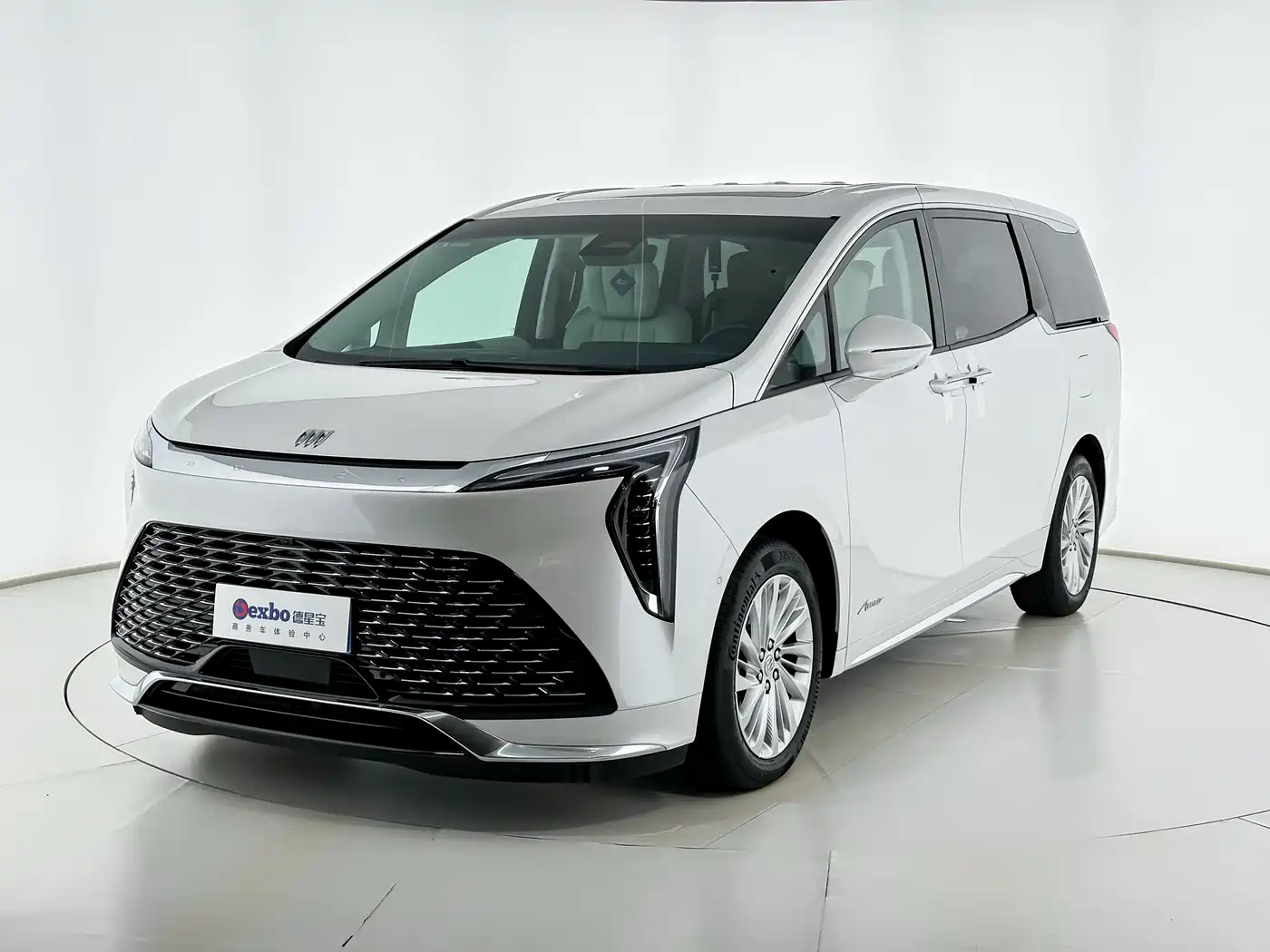 Buick Century 2025 2.0T 6-Seater World Edition фото 2