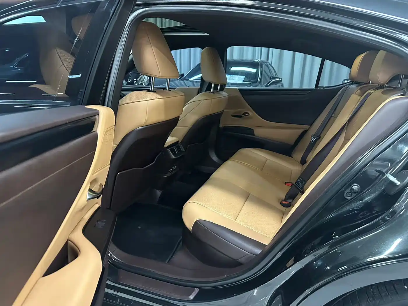 Lexus ES 2020 Model 300h Excellence Edition фото 6