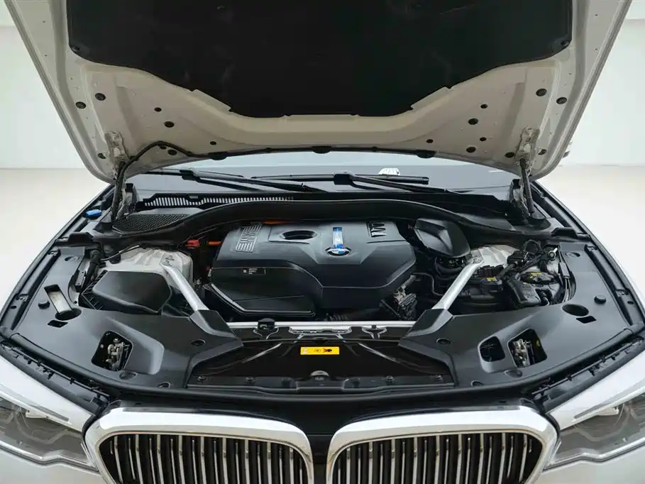 BMW 5 Series New Energy 2020 530Le Range Upgrade Luxury Package фото 7