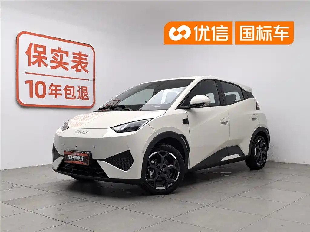 BYD Seagull 2025 Smart Drive Edition 305km Freedom Version