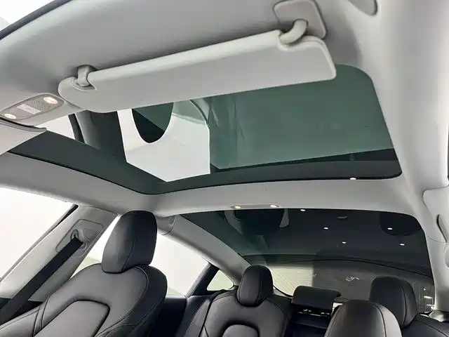TESLA MODEL 3 (IMPORTED)