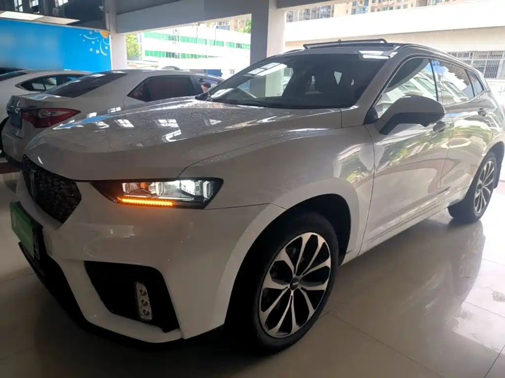 2020 WEY VV7
