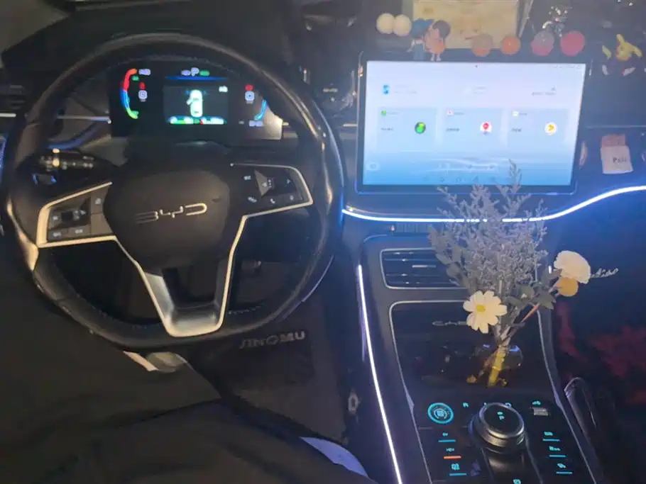 BYD Destroyer 05 2024 Glory Edition DM-i 55KM Luxury фото 12