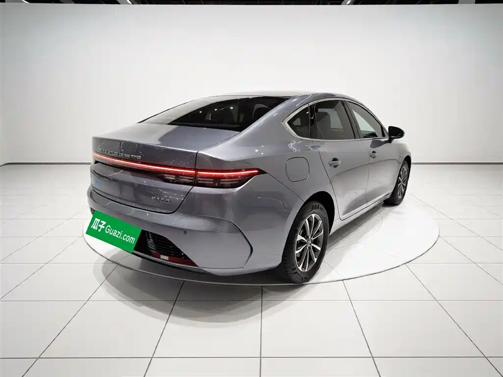 BYD Destroyer 05 2023 Champion Edition DM-i 55KM Luxury фото 7