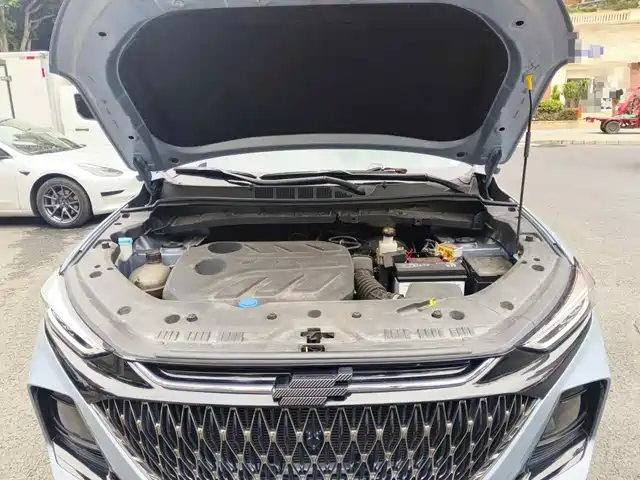 Changan Oshan X7 PLUS 2022 1.5T Blue Whale Edition Auto Executive — фото 3