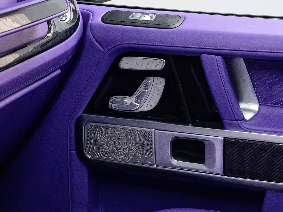 Mercedes-Benz G-Class 2010 G 500 фото 23