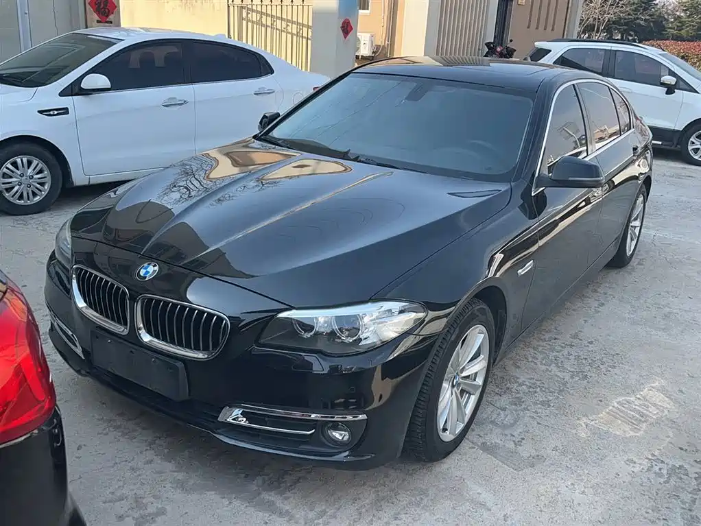BMW 5 Series 2014 520Li Elegance фото 2