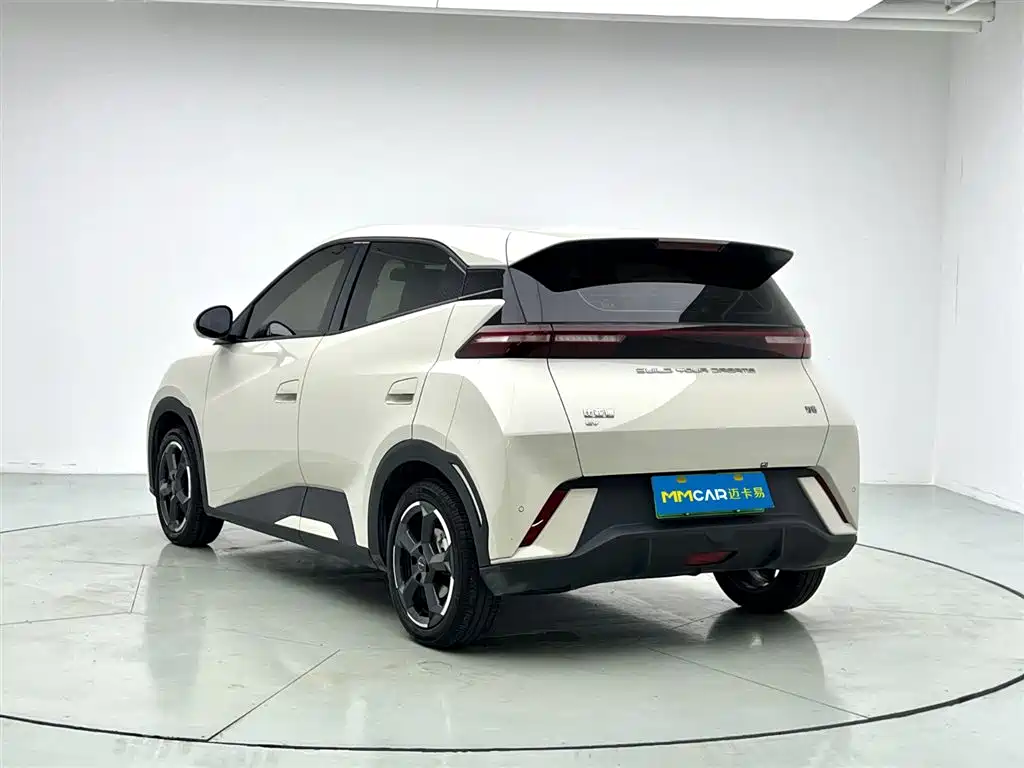 BYD Seagull 2024 Glory Edition 305km Freedom Edition фото 2
