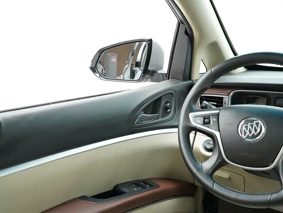 Buick GL8 2014 2.4L LT Luxury Business Executive фото 14