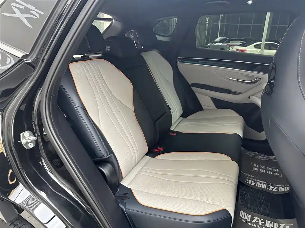 BYD SONGJIANG NEW ENERGY