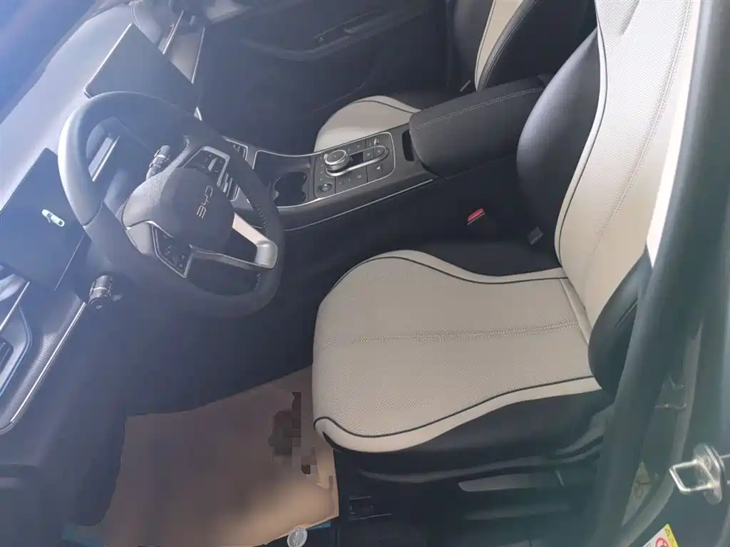 BYD Destroyer 05 2024 Glory Edition DM-i 55KM Luxury фото 11